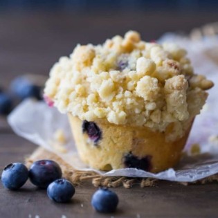 Blueberry Muffin